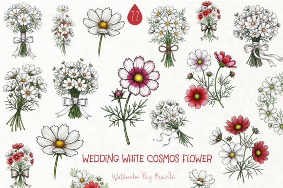 Elegant White Cosmos Clipart for Wedding & Craft Projects